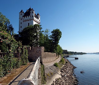 Blick auf Kurfürstliche Burg