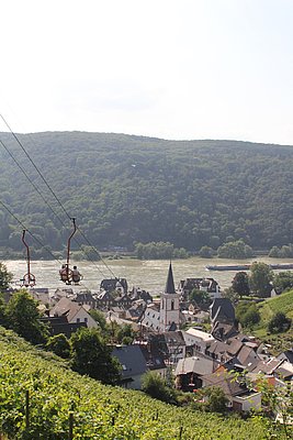 Blick auf Assmannshausen am Rhein