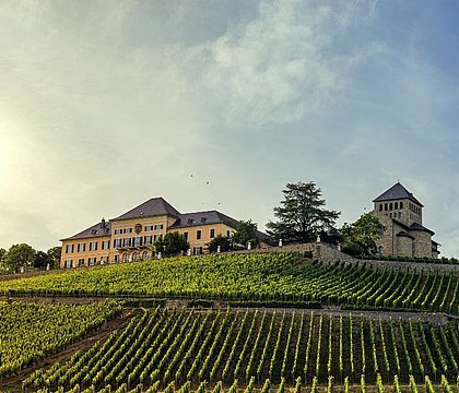 Schloss Johannisberg Weinberge