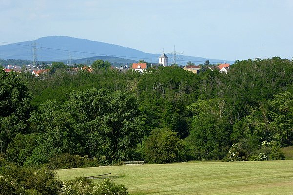 Blick vom Eisenbaum nach Flörsheim-Wicker